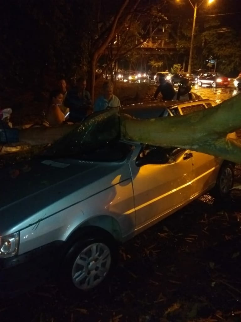 Árvore caiu por cima de veículo na zona Sul